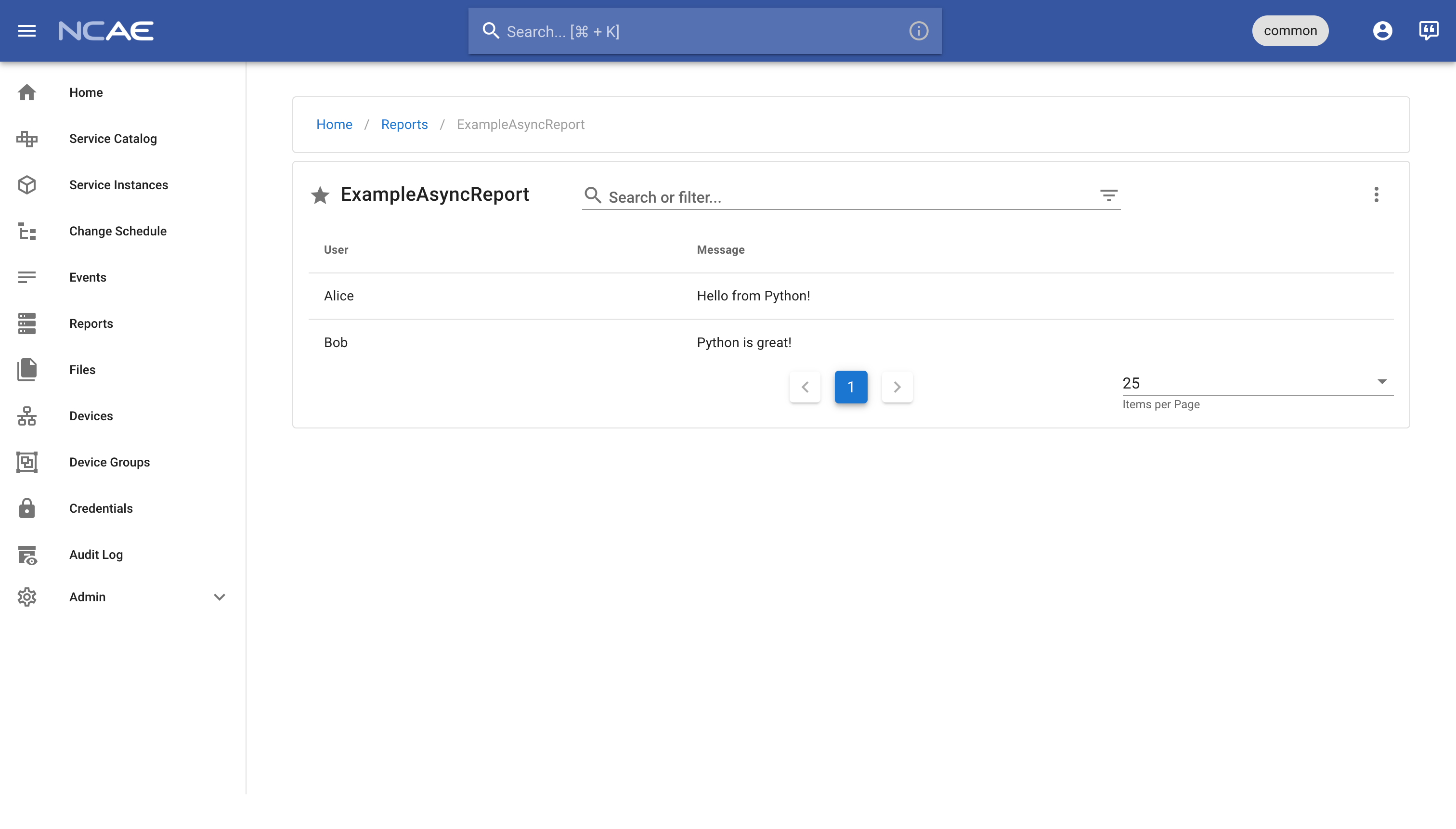 NCAE Example Async Report