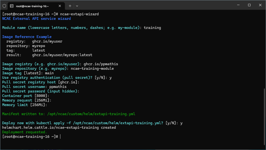 NCAE ExtAPI Wizard Output