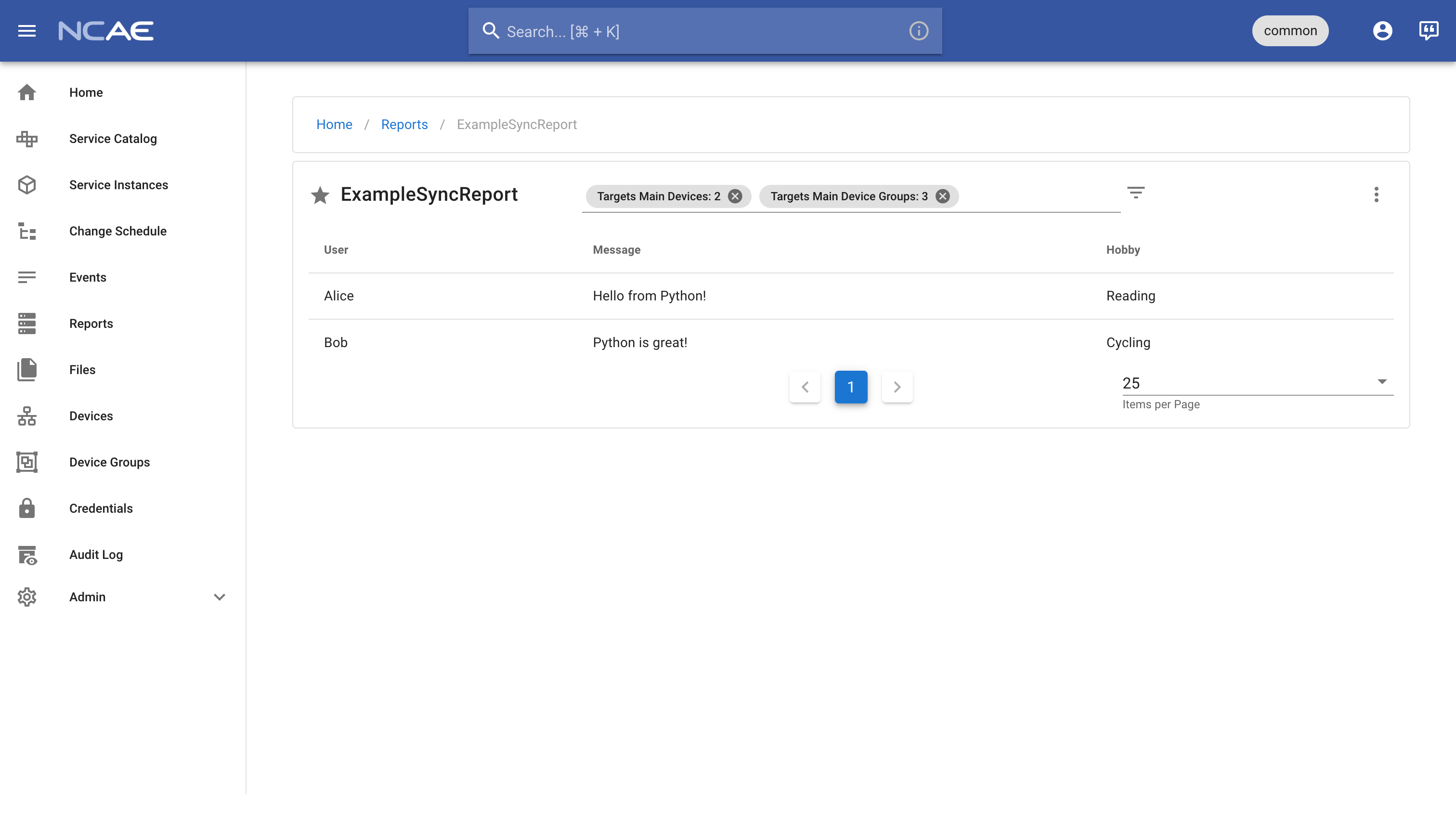 NCAE Example Sync Report Result