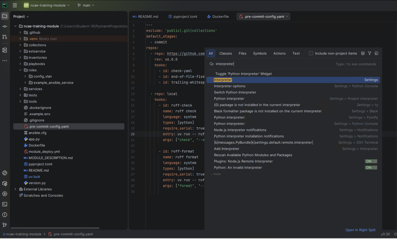 python-interpreter-action.png